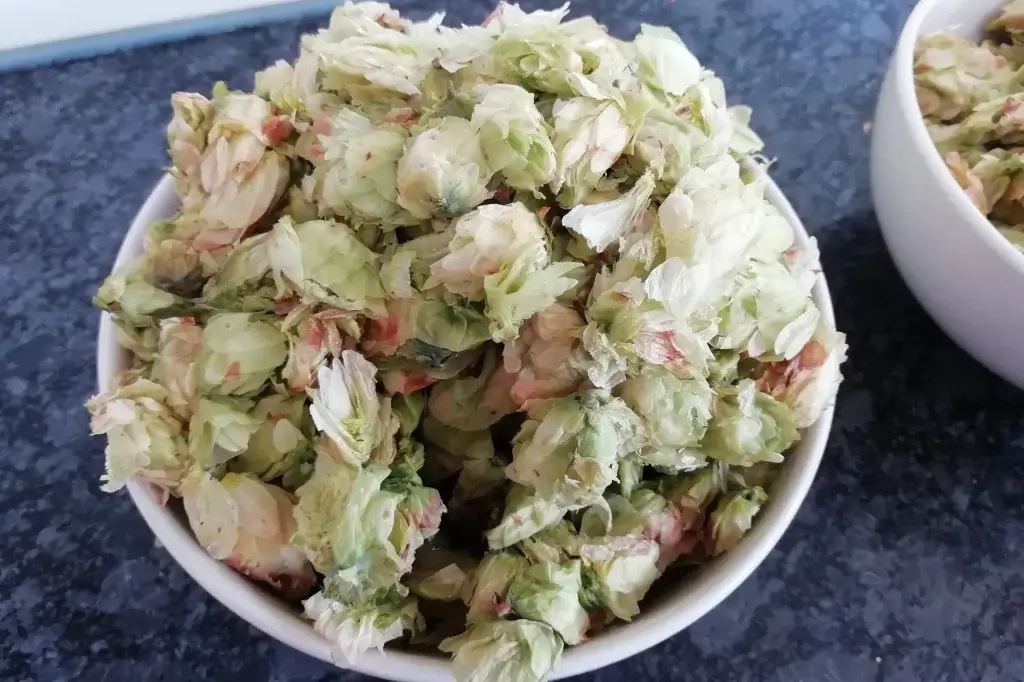 Centennial IPa gebrouwen met centennial hop