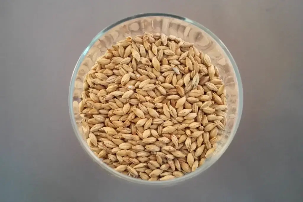 Een glaasje mout
