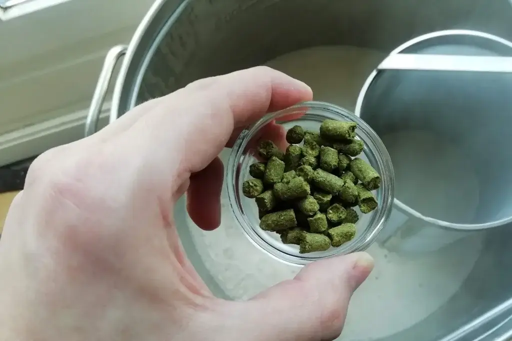 Een hopspider is een goed middel om de hop na het koken goed te filteren