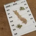 Plan je brouwsels en ga voor het seizoensgebonden brouwen met een brouwkalender. Zo heb je voor elk seizoen een passend biertje