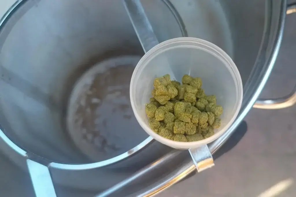 Zo houd je het brouwen van bier leuk