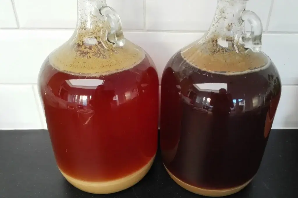Twee van mijn eerste bieren na het vergisten tijdens het brouwen