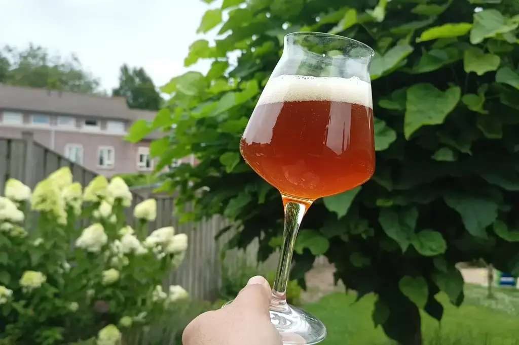 Koolzuur zorgt voor een lekkere bruis en de schuimkraag.