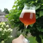 Koolzuur zorgt voor een lekkere bruis en de schuimkraag.