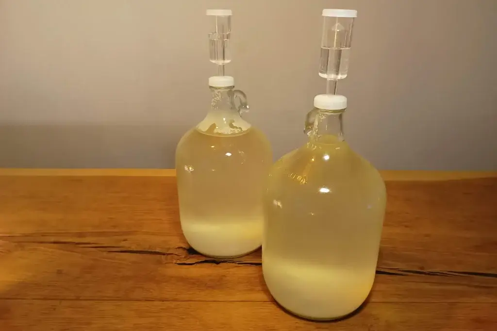 Het maken van gefermenteerde drank is niet moeilijk.