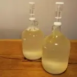 Het maken van gefermenteerde drank is niet moeilijk.